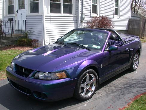 Used 2004 Ford Mustang Cobra image 2