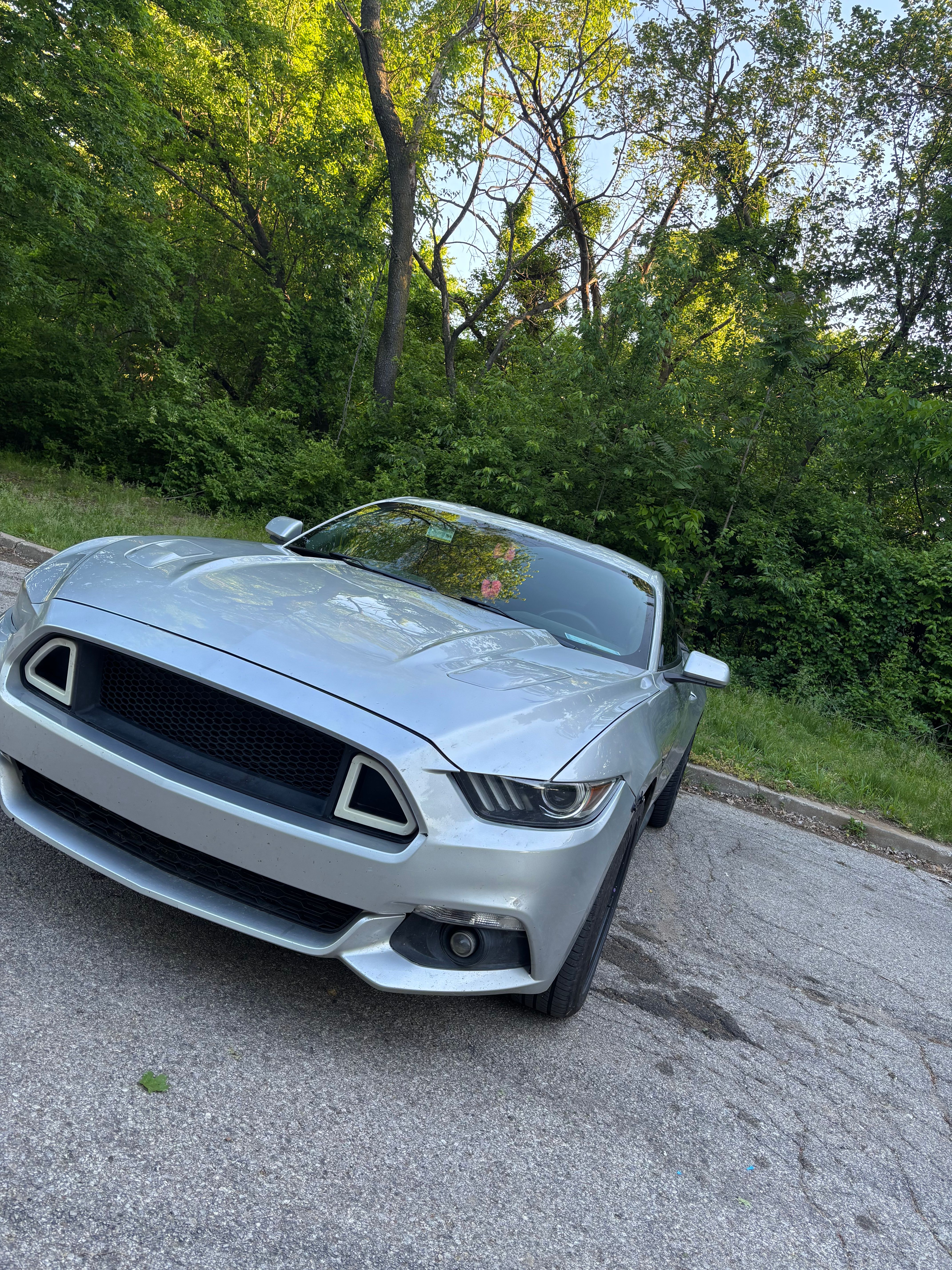 Used 2016 Ford Mustang GT w/ Enhanced Security Package RWD image 17