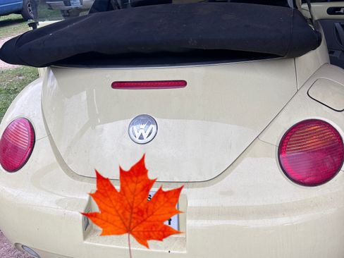 Used 2003 Volkswagen Beetle GLS image 14