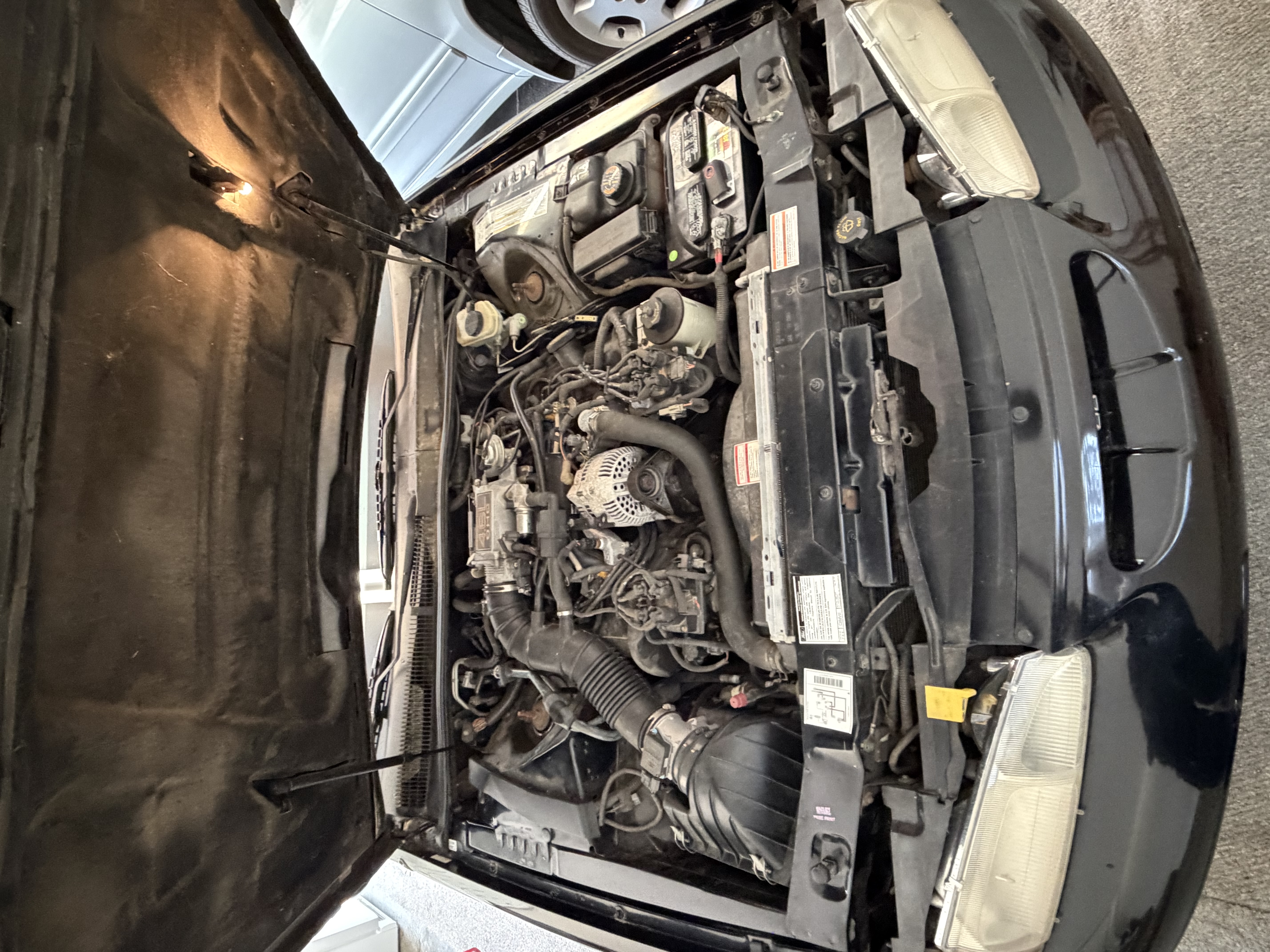 Used 1996 Ford Thunderbird LX RWD image 14