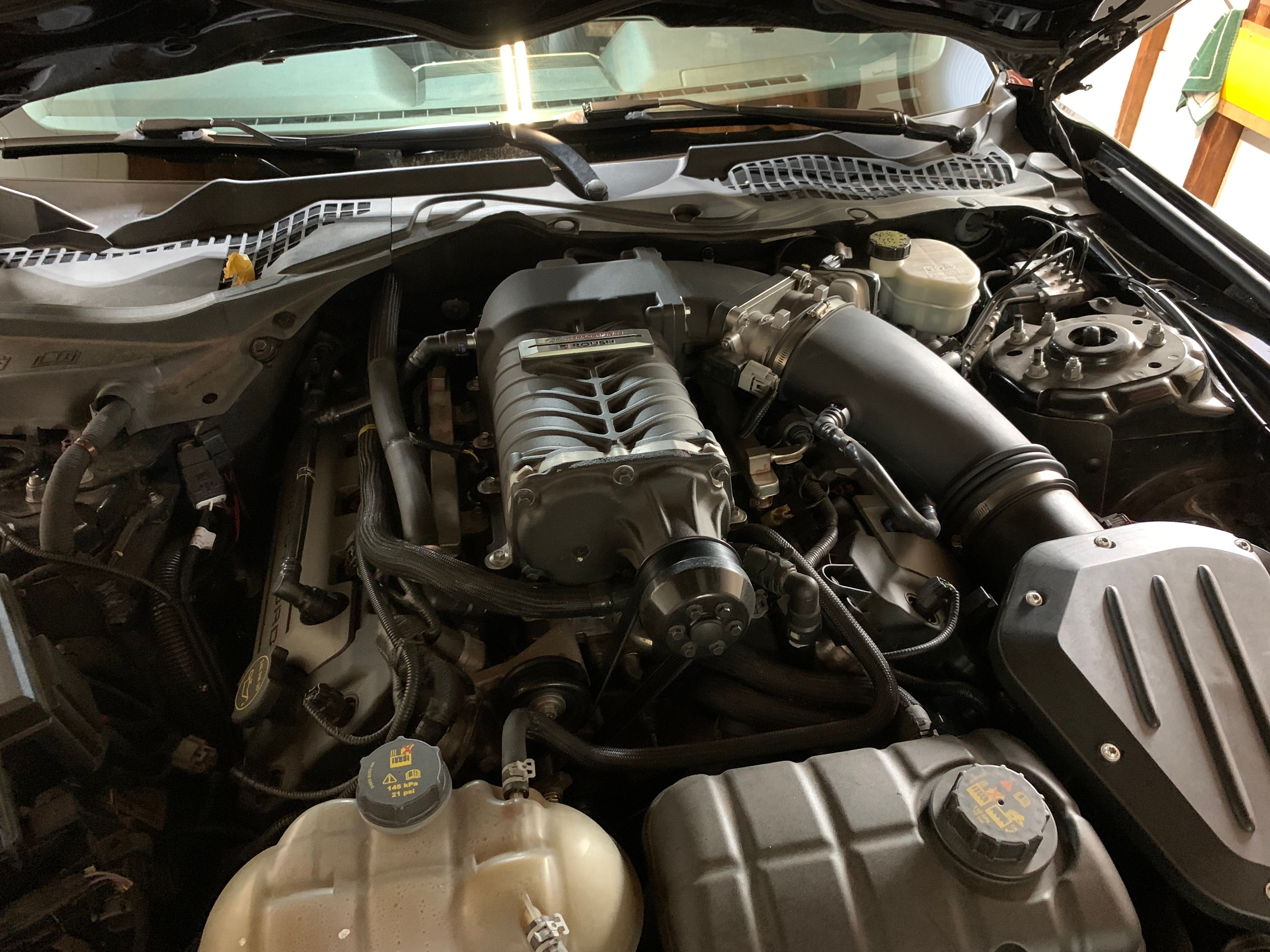 Used 2016 Ford Mustang GT Premium w/ Equipment Group 401A RWD image 10