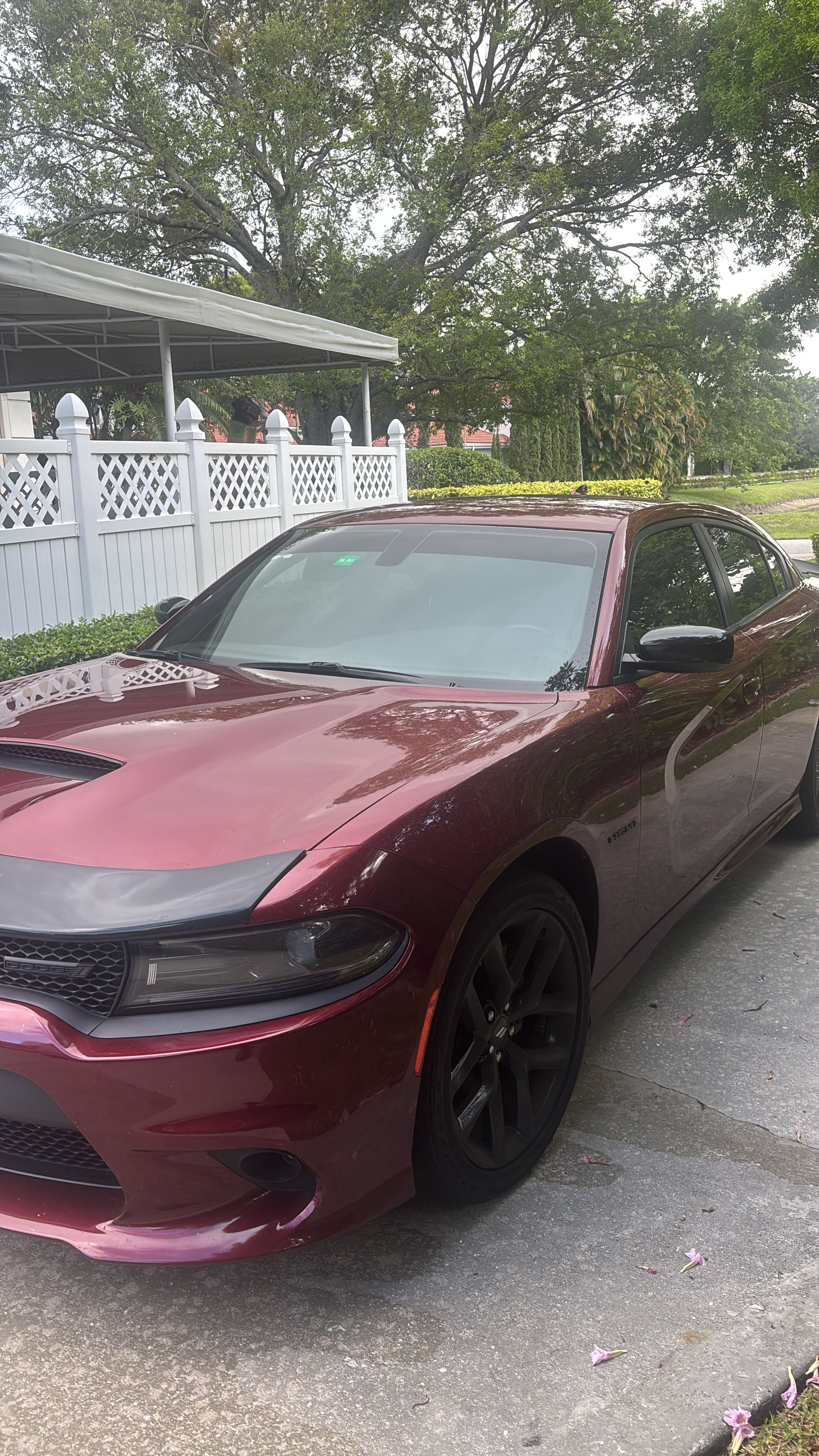 Used 2022 Dodge Charger R/T w/ Blacktop Package RWD image 12