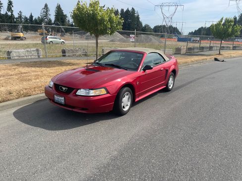 Used 2000 Ford Mustang Convertible RWD image 1