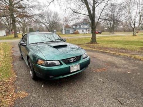 Used 2003 Ford Mustang GT Premium image 10