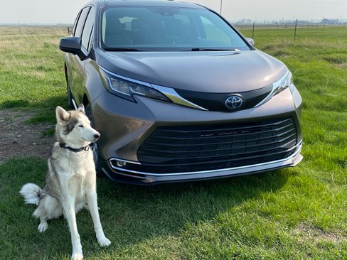 Used 2021 Toyota Sienna XLE FWD image 5