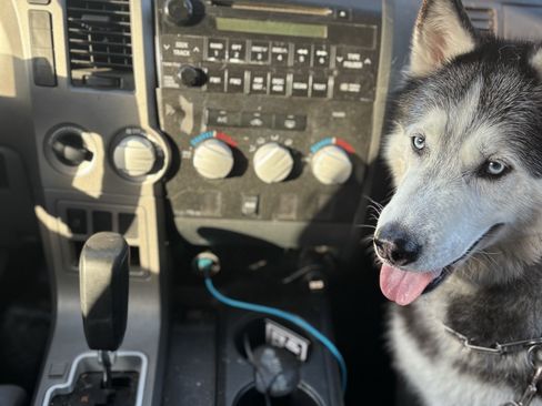 Used 2010 Toyota Tundra 4x4 CrewMax image 22