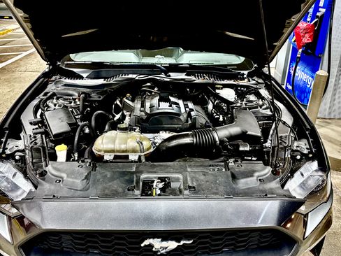 Used 2018 Ford Mustang Premium w/ Equipment Group 201A image 5