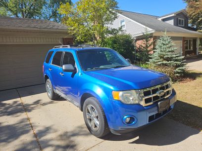 Used 2011 Ford Escape XLT w/ Canadian Winter Pkg