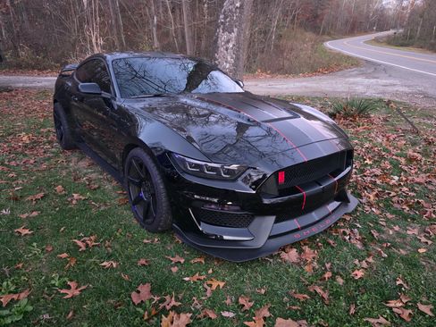 Used 2017 Ford Mustang Shelby GT350R w/ GT350R Equipment Group 920A image 1