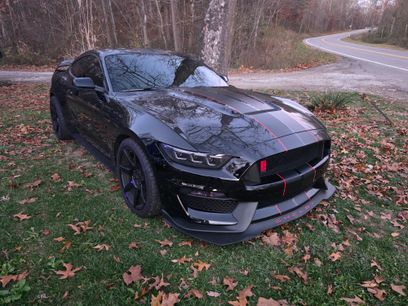 Used 2017 Ford Mustang Shelby GT350R w/ GT350R Equipment Group 920A