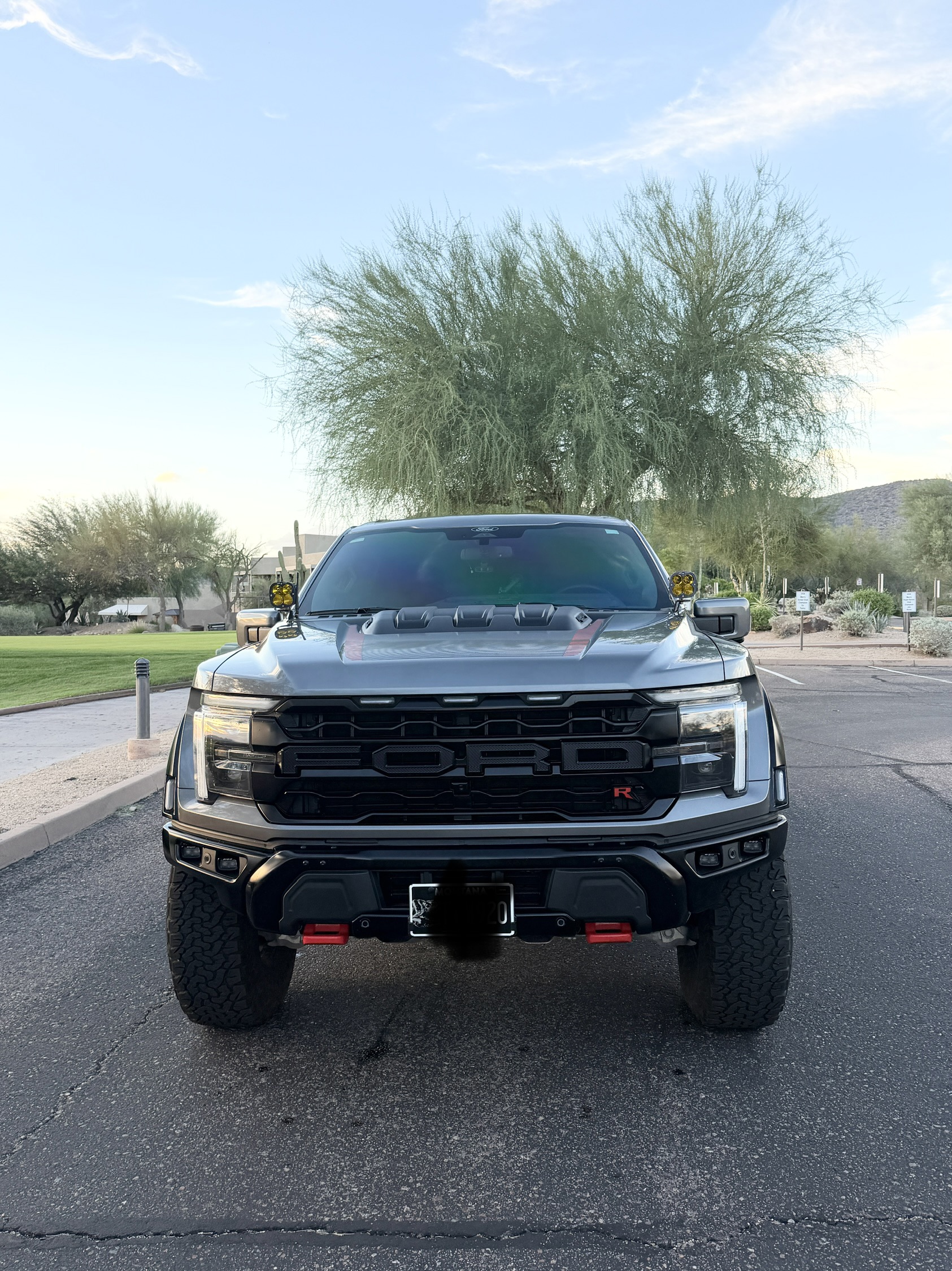 Used 2025 Ford F150 Raptor w/ Equipment Group 803A Raptor R AWD/4WD image 2