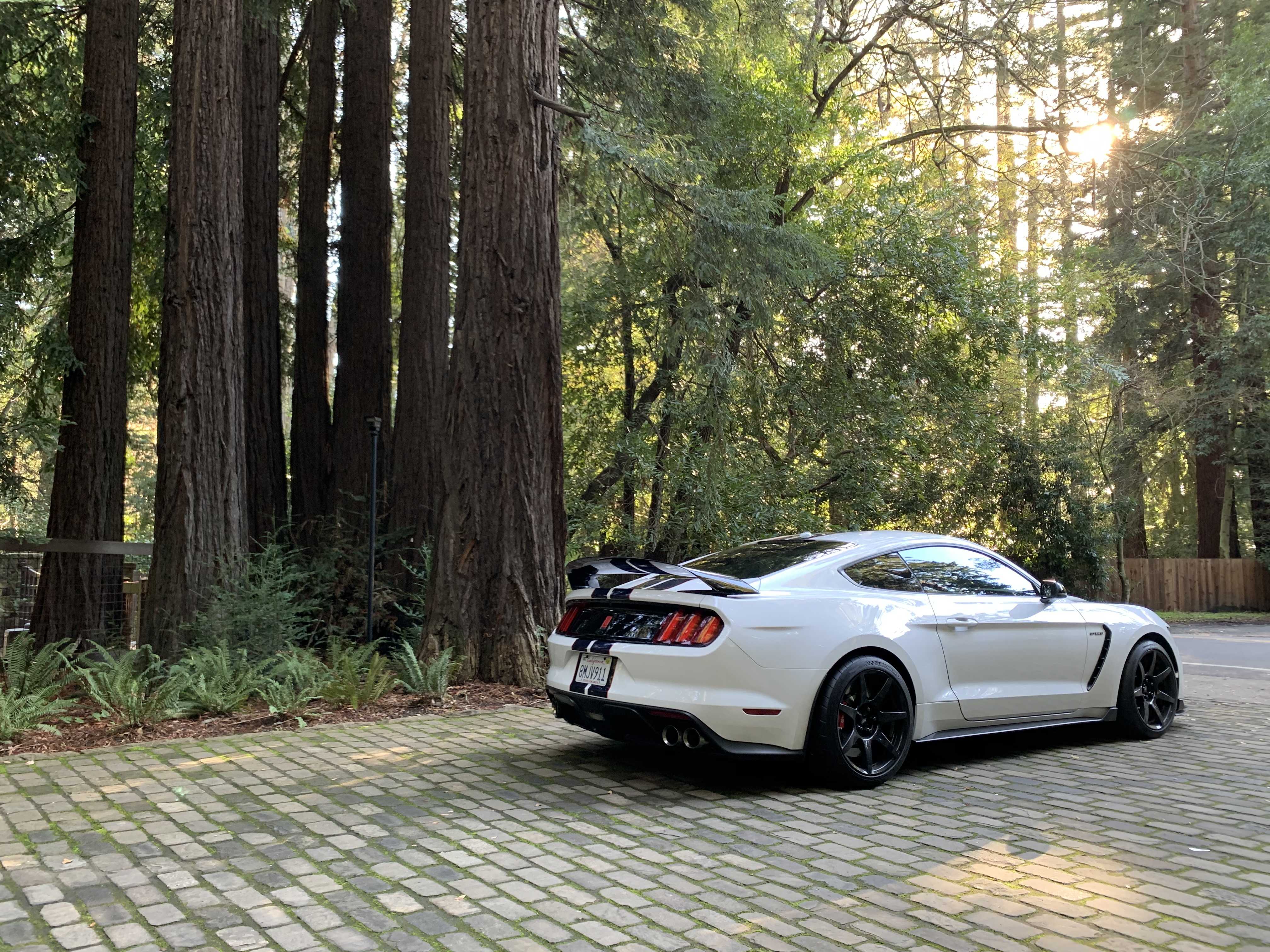 Used 2019 Ford Mustang Shelby GT350R w/ GT350R Equipment Group 920A RWD image 2
