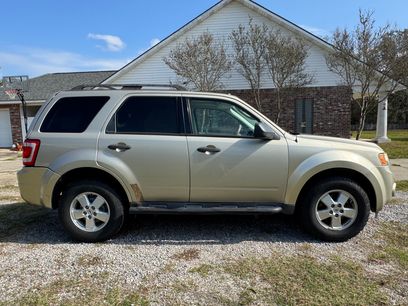 Used 2010 Ford Escape XLT