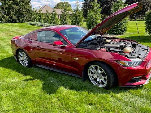 Used 2015 Ford Mustang GT Premium w/ Equipment Group 401A image 4