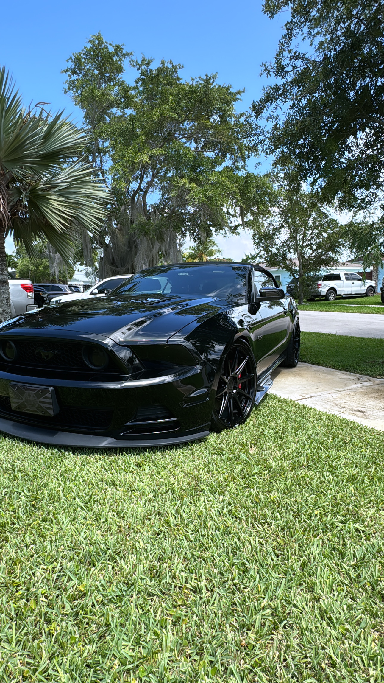 Used 2014 Ford Mustang GT Premium w/ Comfort Package RWD image 11