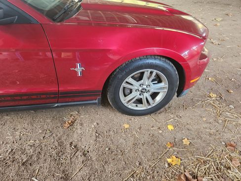 Used 2011 Ford Mustang Coupe w/ 101A Rapid Spec Order Code image 14