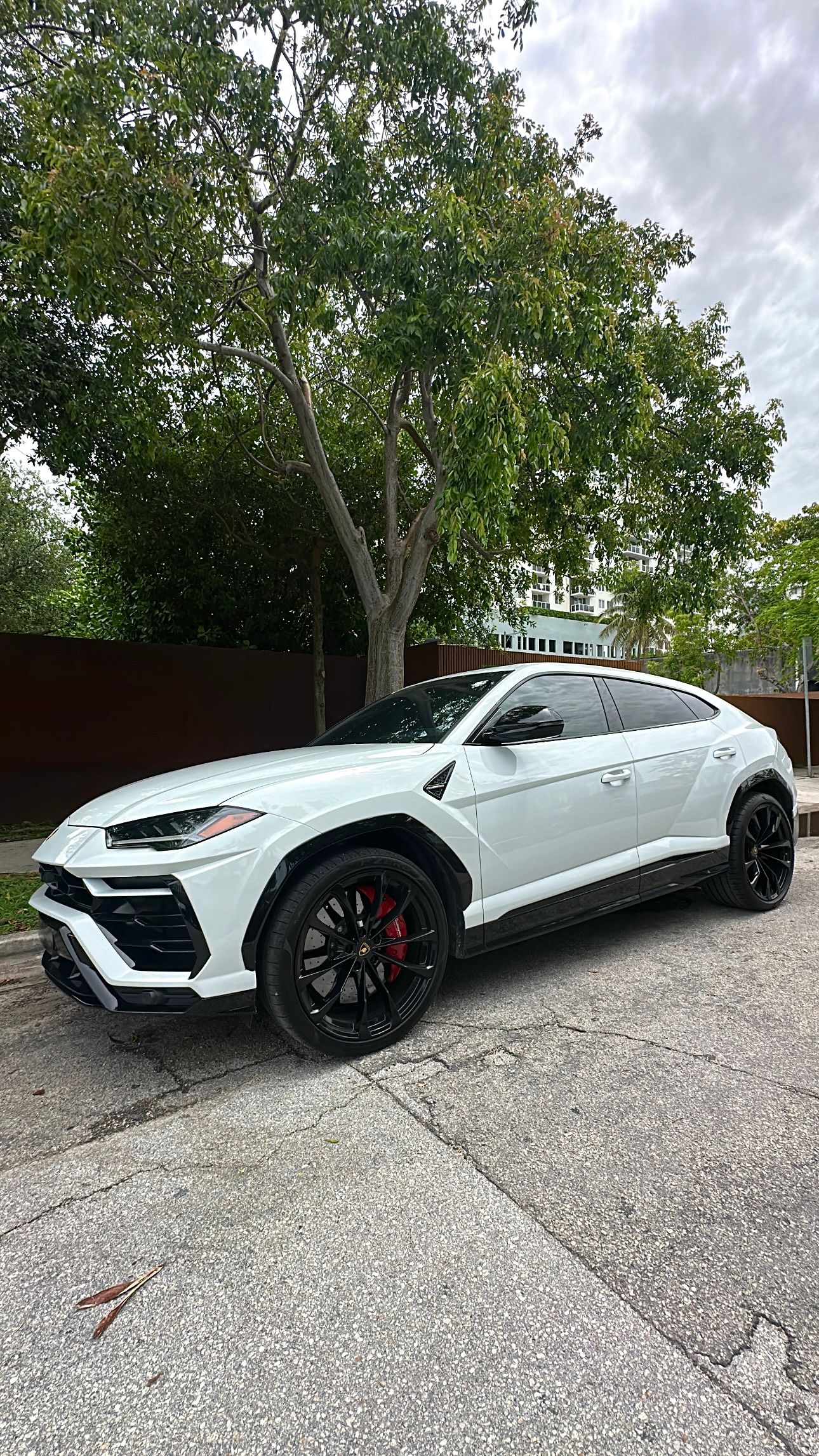 Used 2022 Lamborghini Urus AWD/4WD image 5