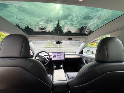 Used 2019 Tesla Model 3
