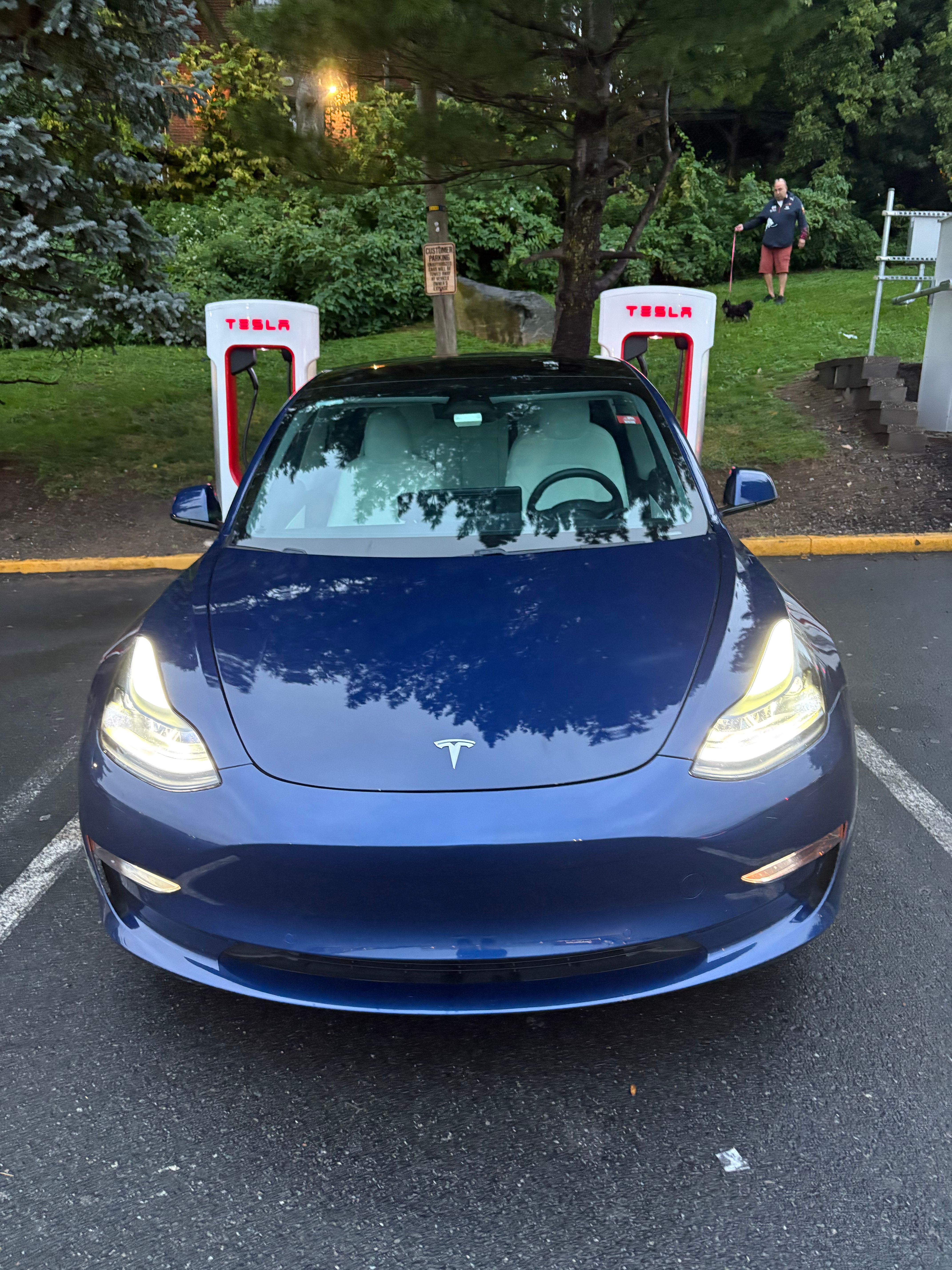 Used 2021 Tesla Model 3 Long Range AWD/4WD image 4
