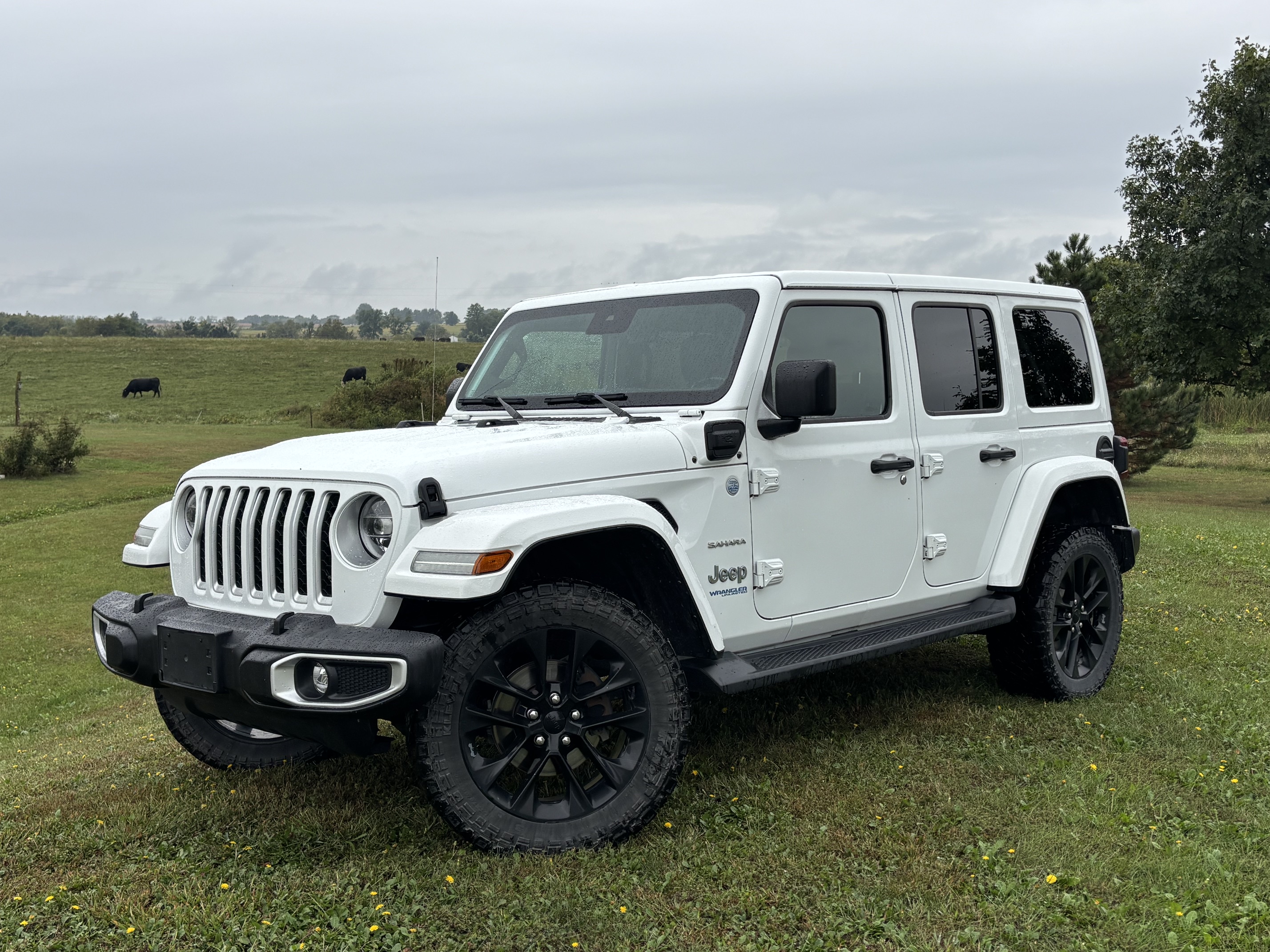 Used 2021 Jeep Wrangler Unlimited Sahara w/ Cold Weather Group AWD/4WD image 1