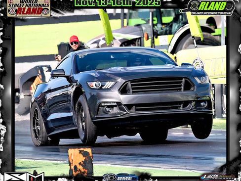 Used 2015 Ford Mustang GT Premium w/ Enhanced Security Package image 1