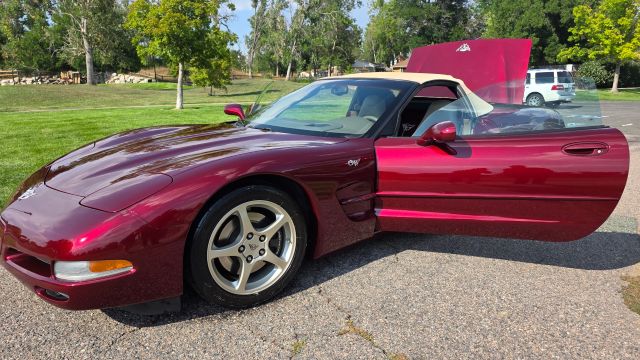 Used 2003 Chevrolet Corvette Convertible RWD image 5