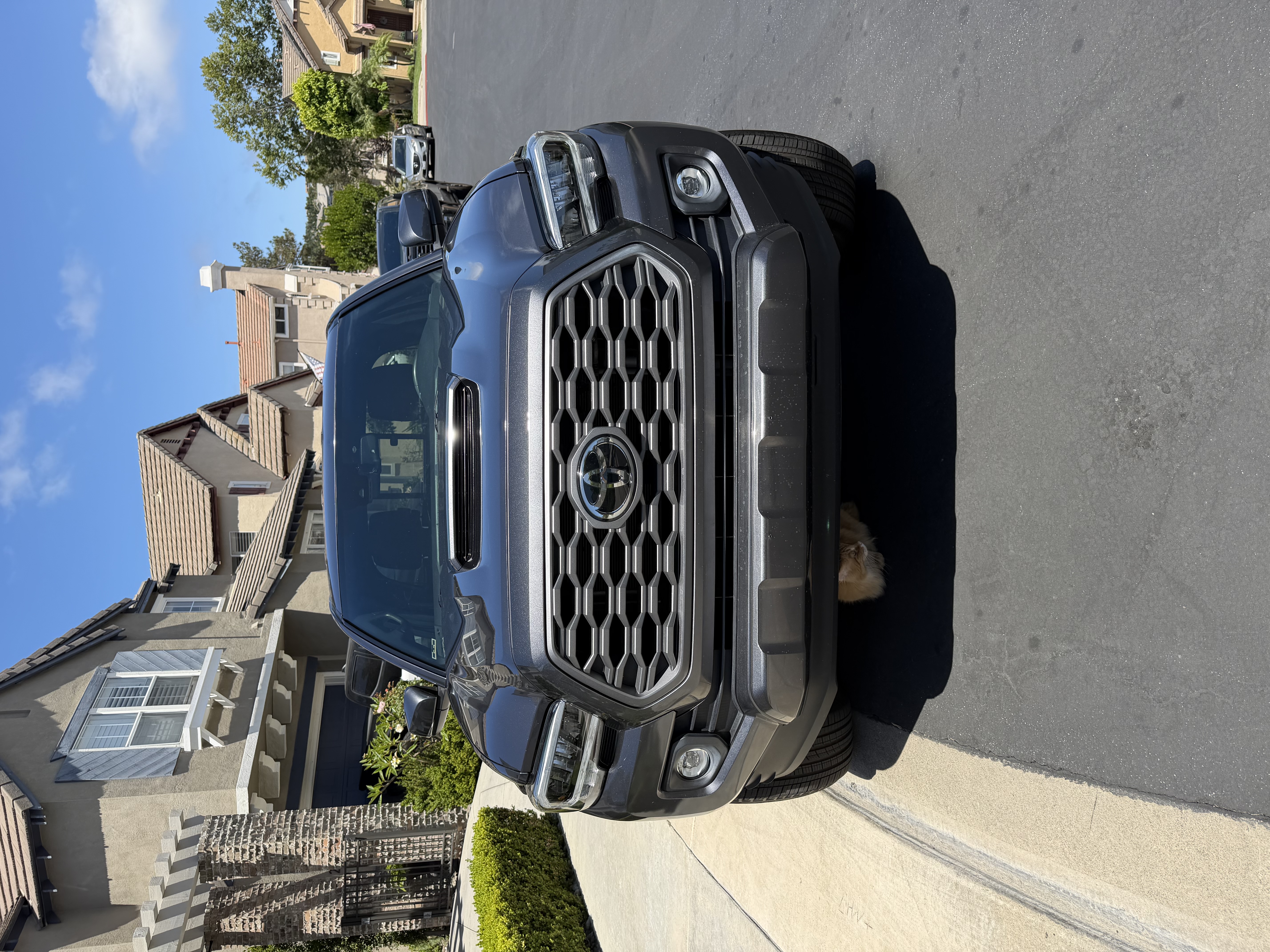 Used 2021 Toyota Tacoma TRD Sport w/ Technology Package RWD image 6