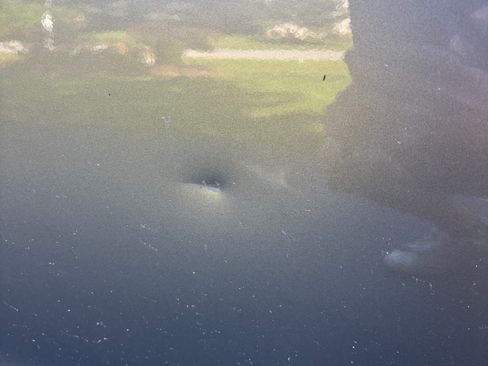 Used 2014 Hyundai Elantra SE w/ Option Group 02 image 12