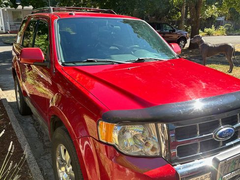 Used 2011 Ford Escape Limited image 4