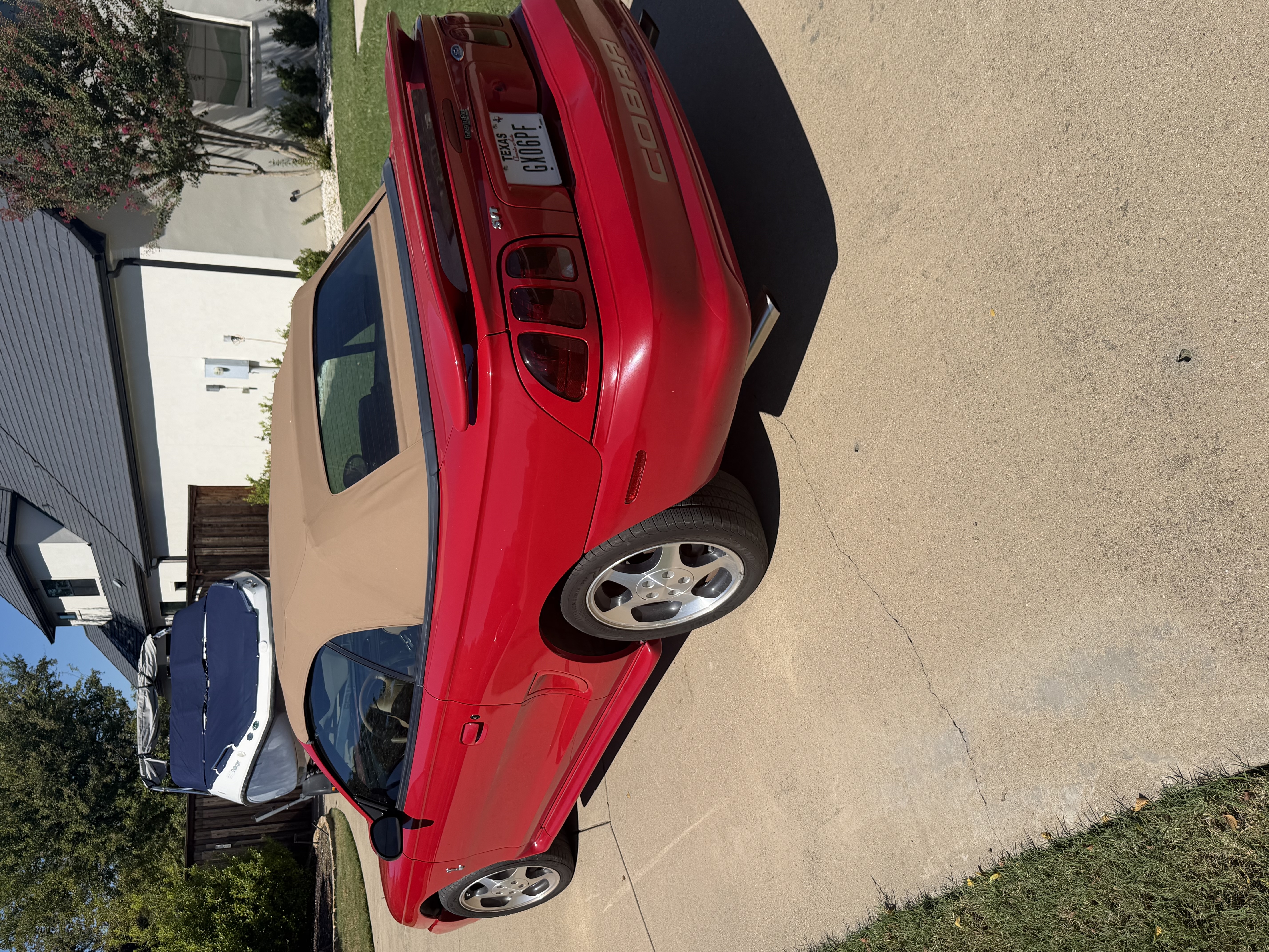 Used 1997 Ford Mustang Cobra RWD image 4