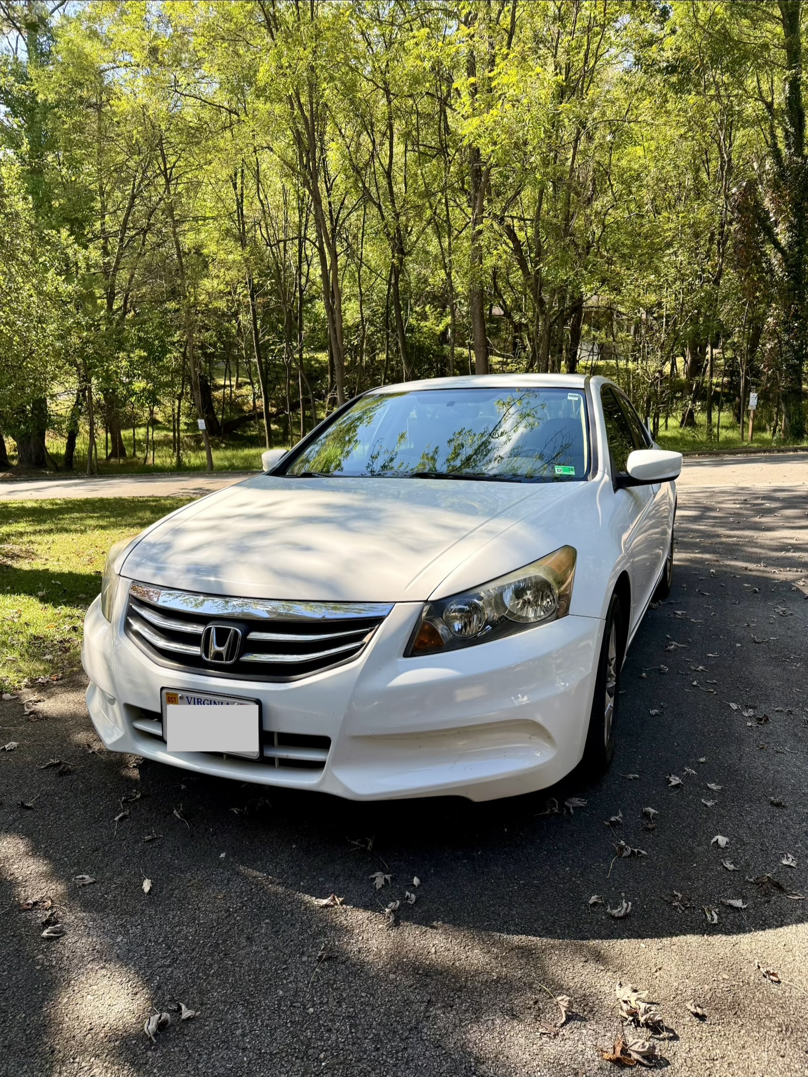 Used 2012 Honda Accord SE image 1