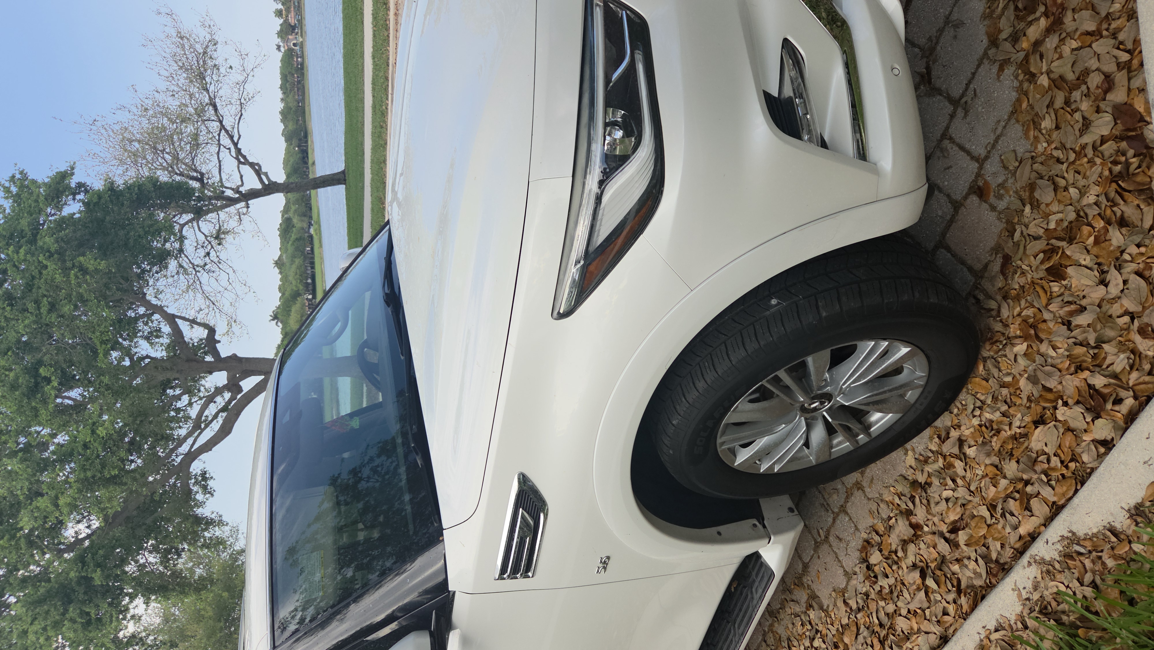 Used 2019 INFINITI QX80 Luxe w/ All-Season Package RWD image 2