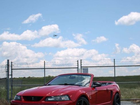 Used 1999 Ford Mustang Cobra RWD image 1