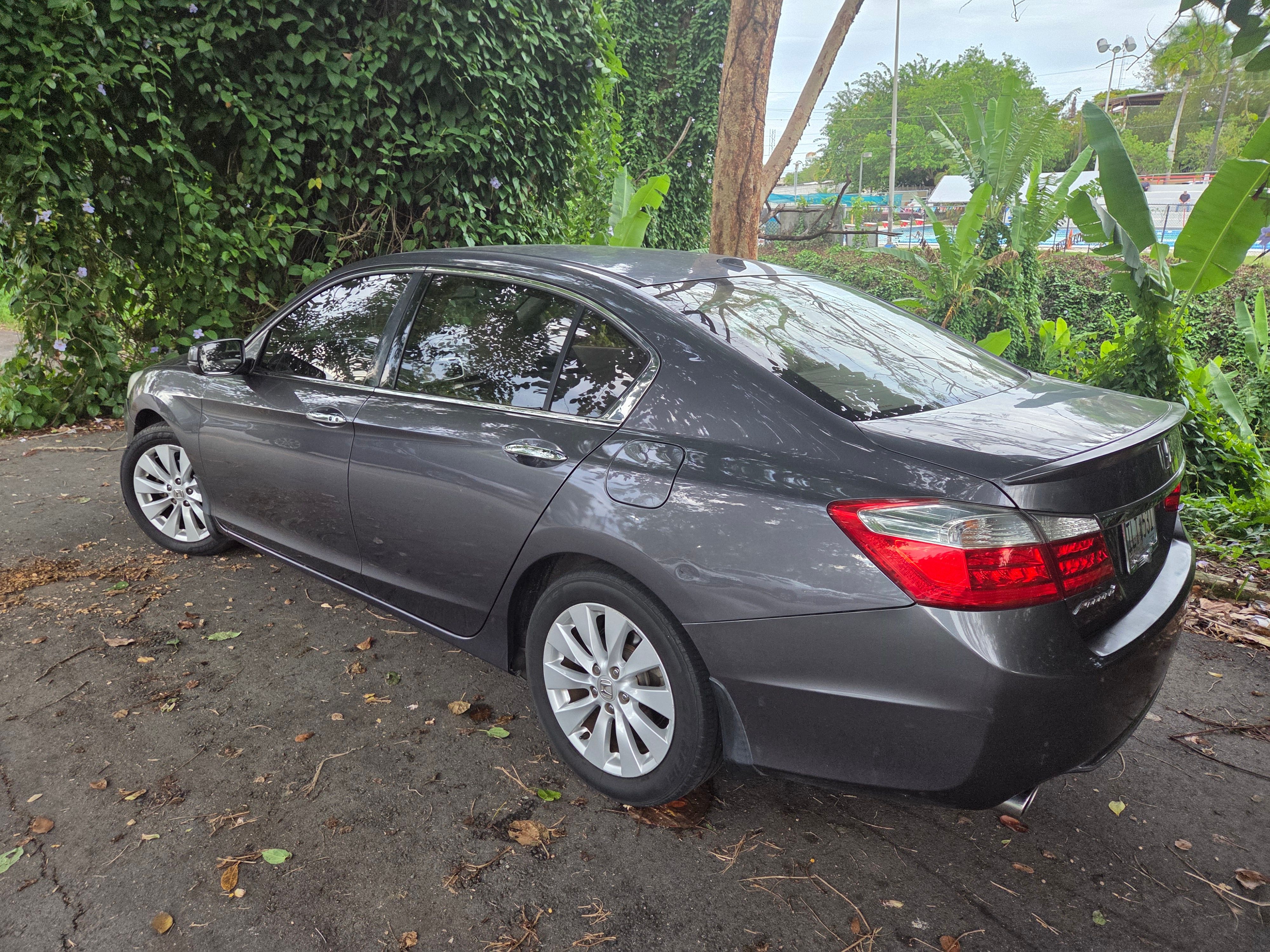 Used 2014 Honda Accord EX-L image 5