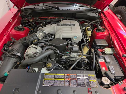 Used 1994 Ford Mustang Cobra RWD image 14