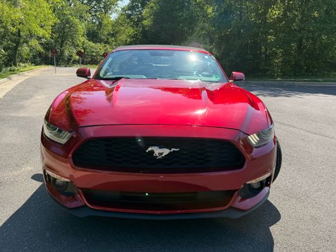 Used 2016 Ford Mustang Premium w/ Ecoboost Performance Package RWD image 6