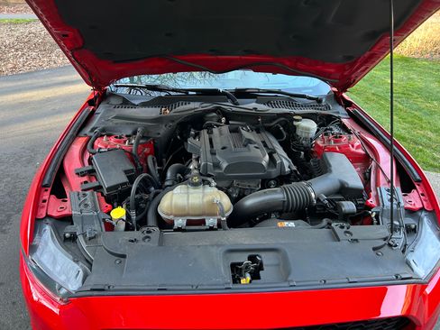 Used 2015 Ford Mustang Premium w/ Equipment Group 201A image 10