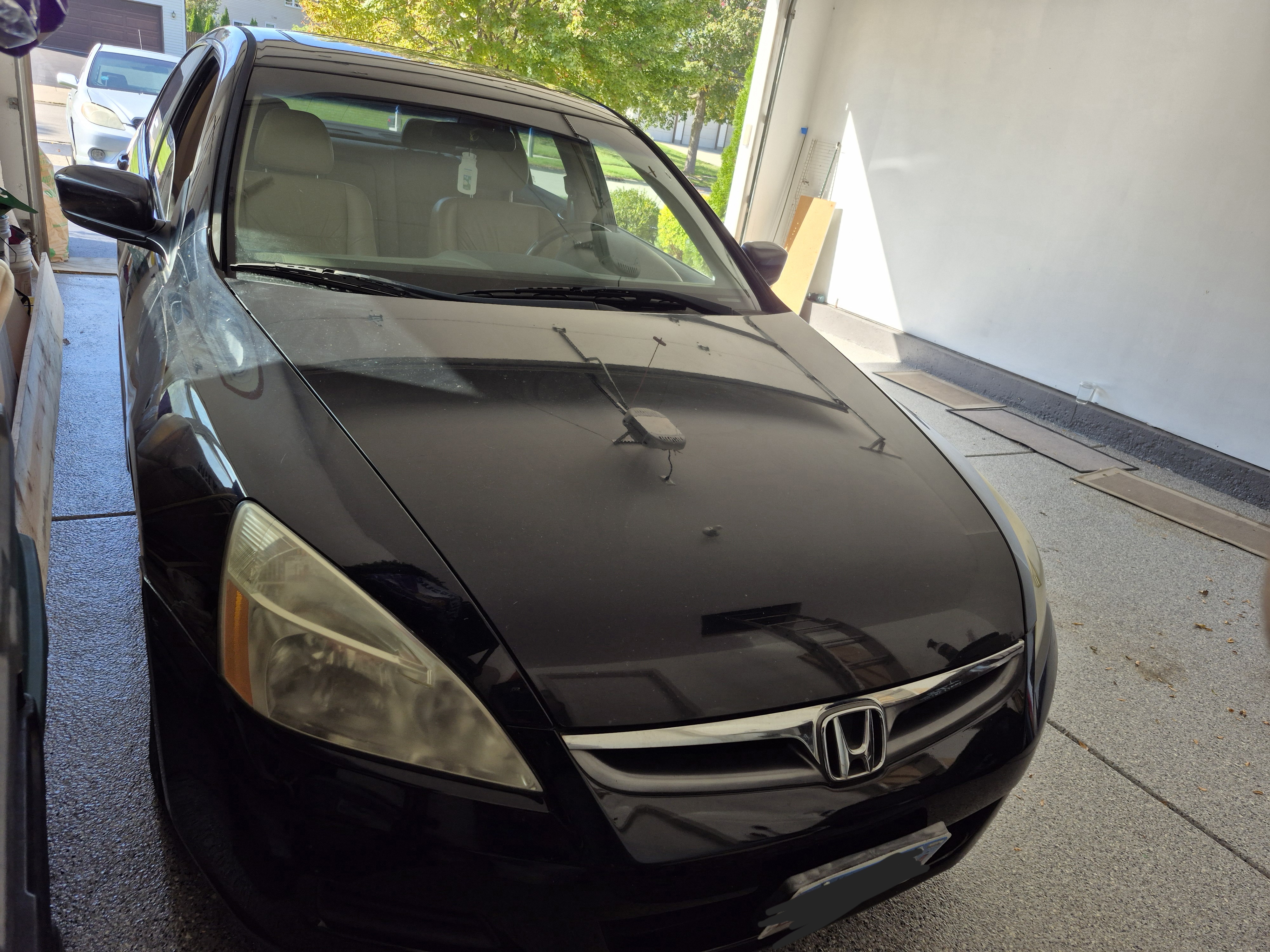 Used 2007 Honda Accord EX-L image 6