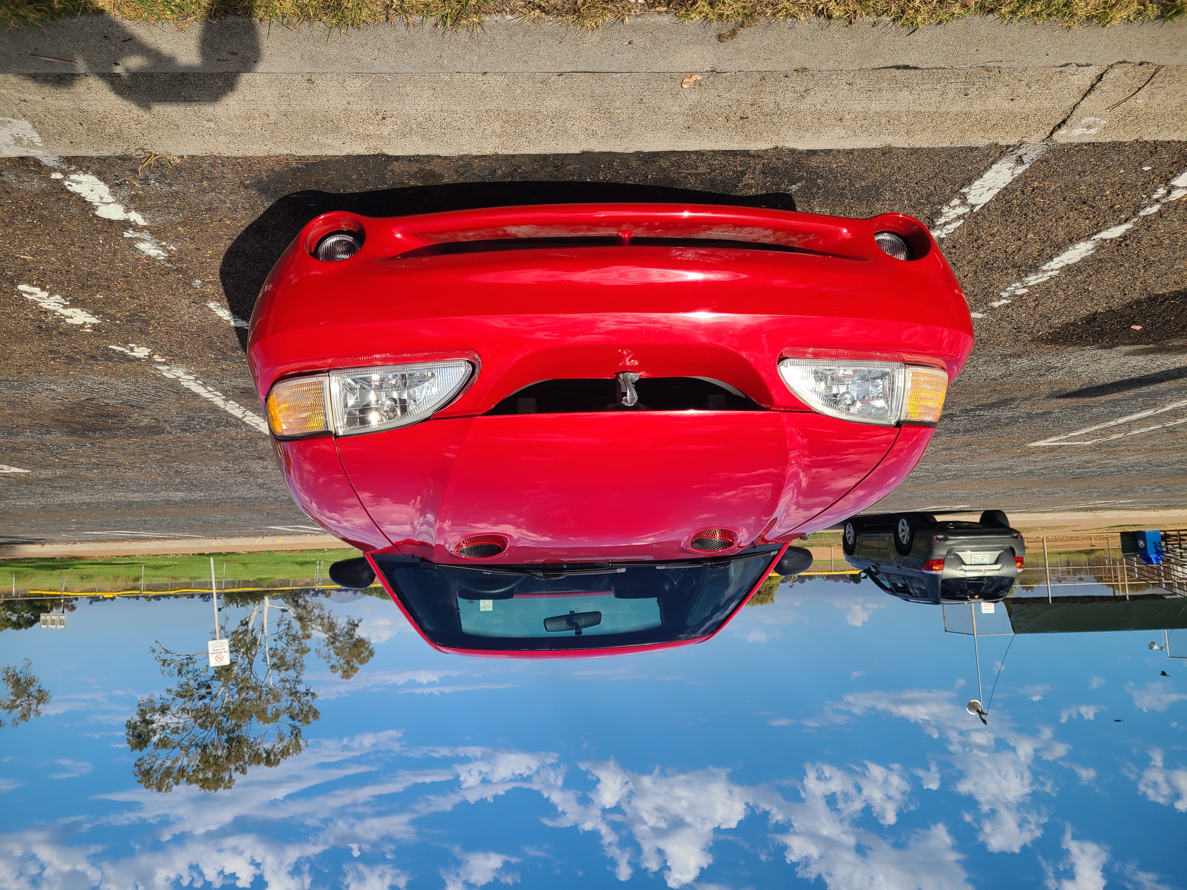Used 1997 Ford Mustang Cobra RWD image 5