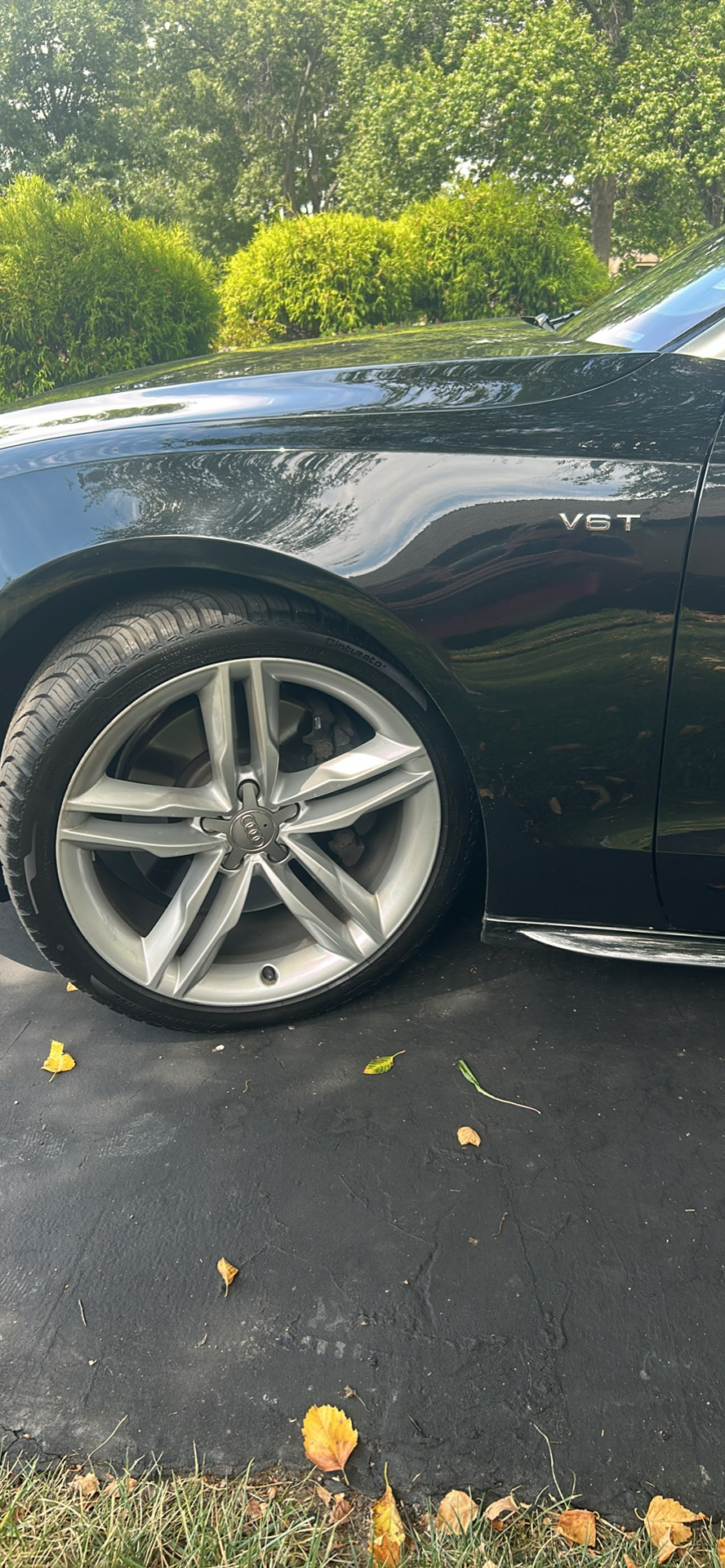 Used 2011 Audi S5 Prestige AWD/4WD image 1