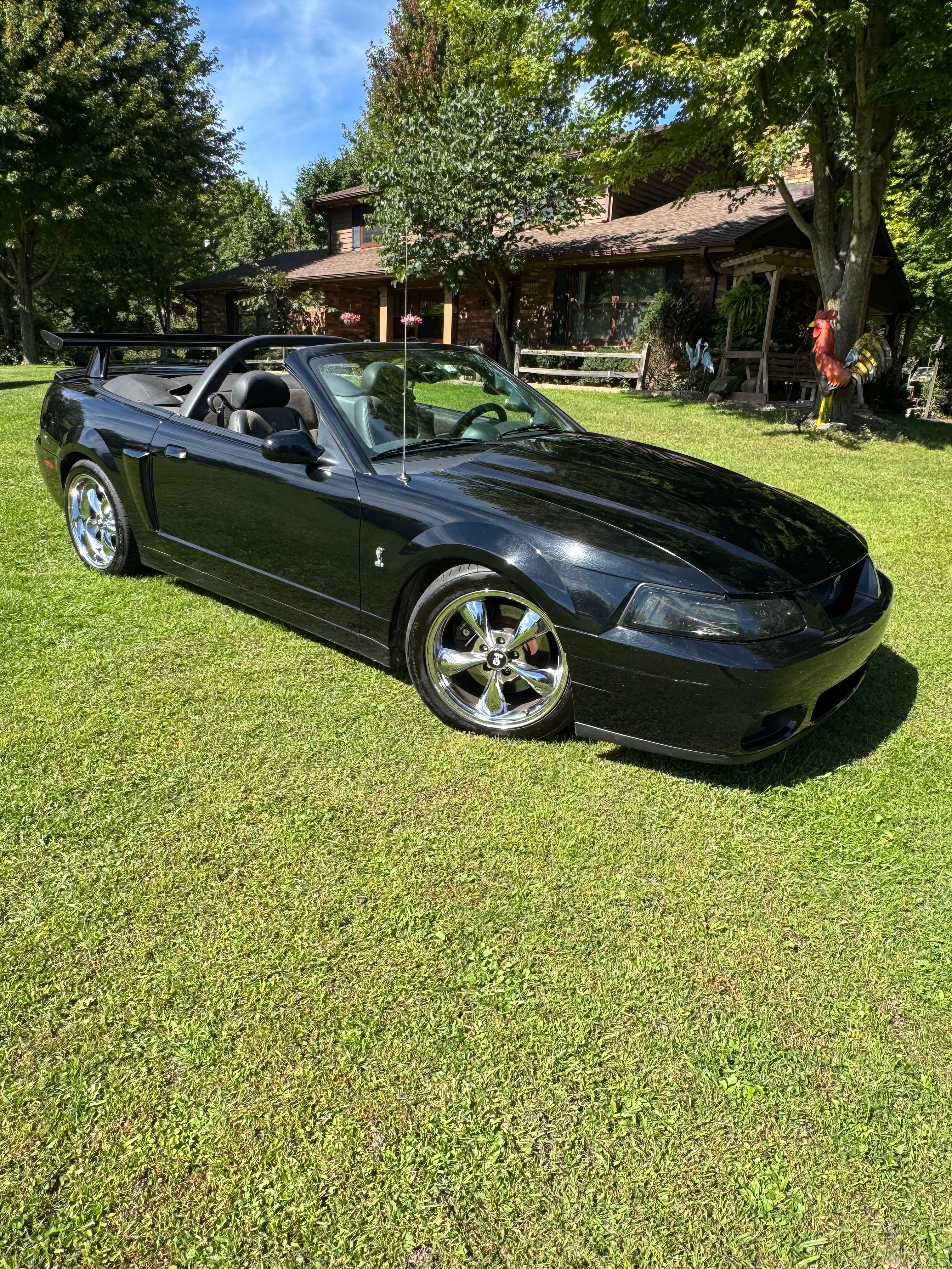 Used 2004 Ford Mustang Cobra RWD image 13