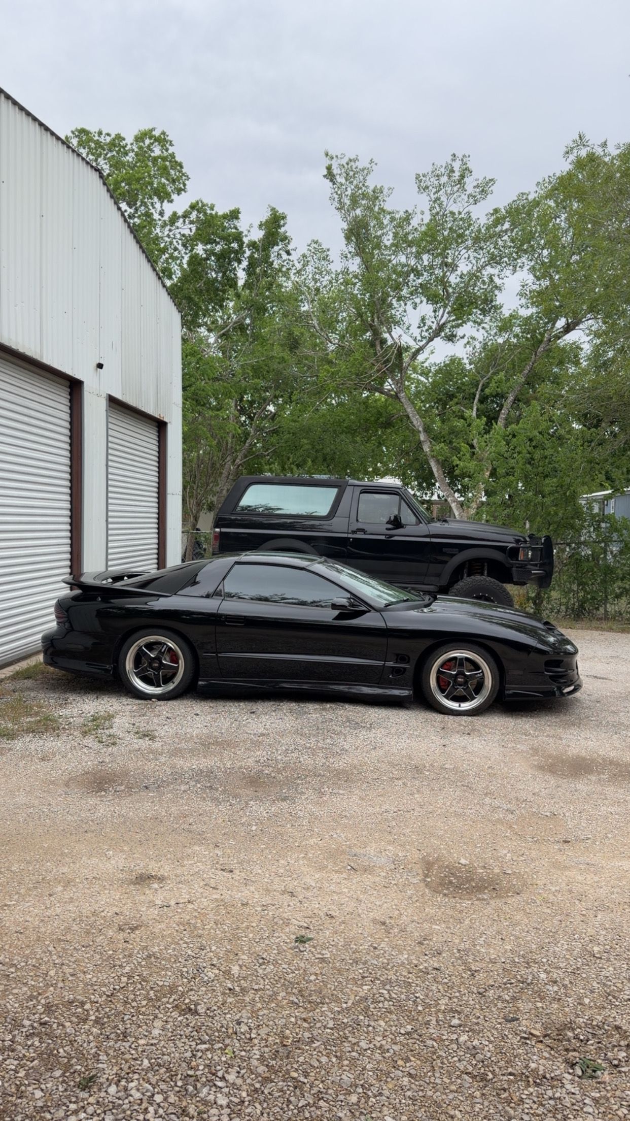 Used 2000 Pontiac Firebird Formula RWD image 1
