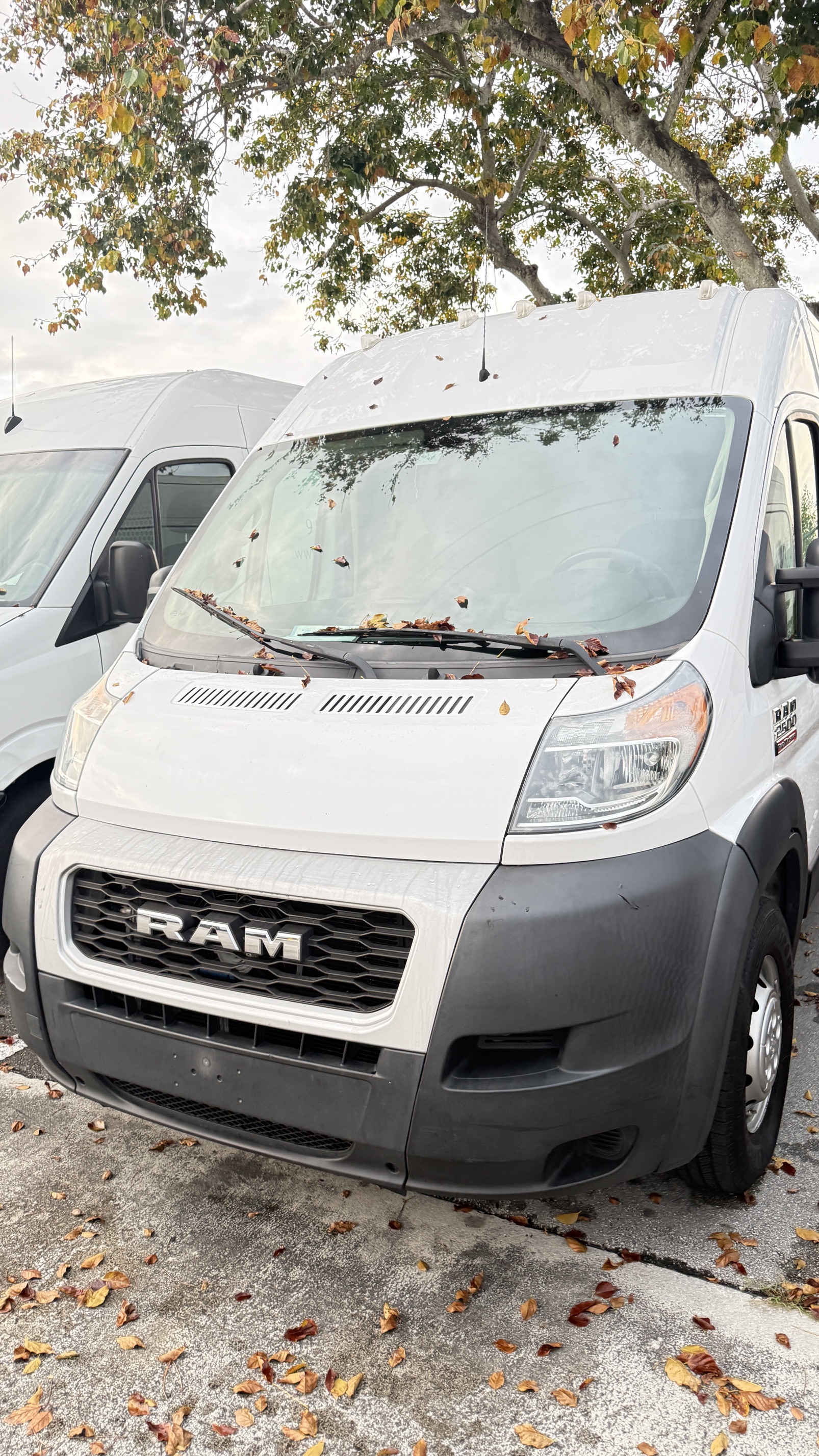 Used 2019 RAM ProMaster 2500 w/ Interior Convenience Group FWD image 1