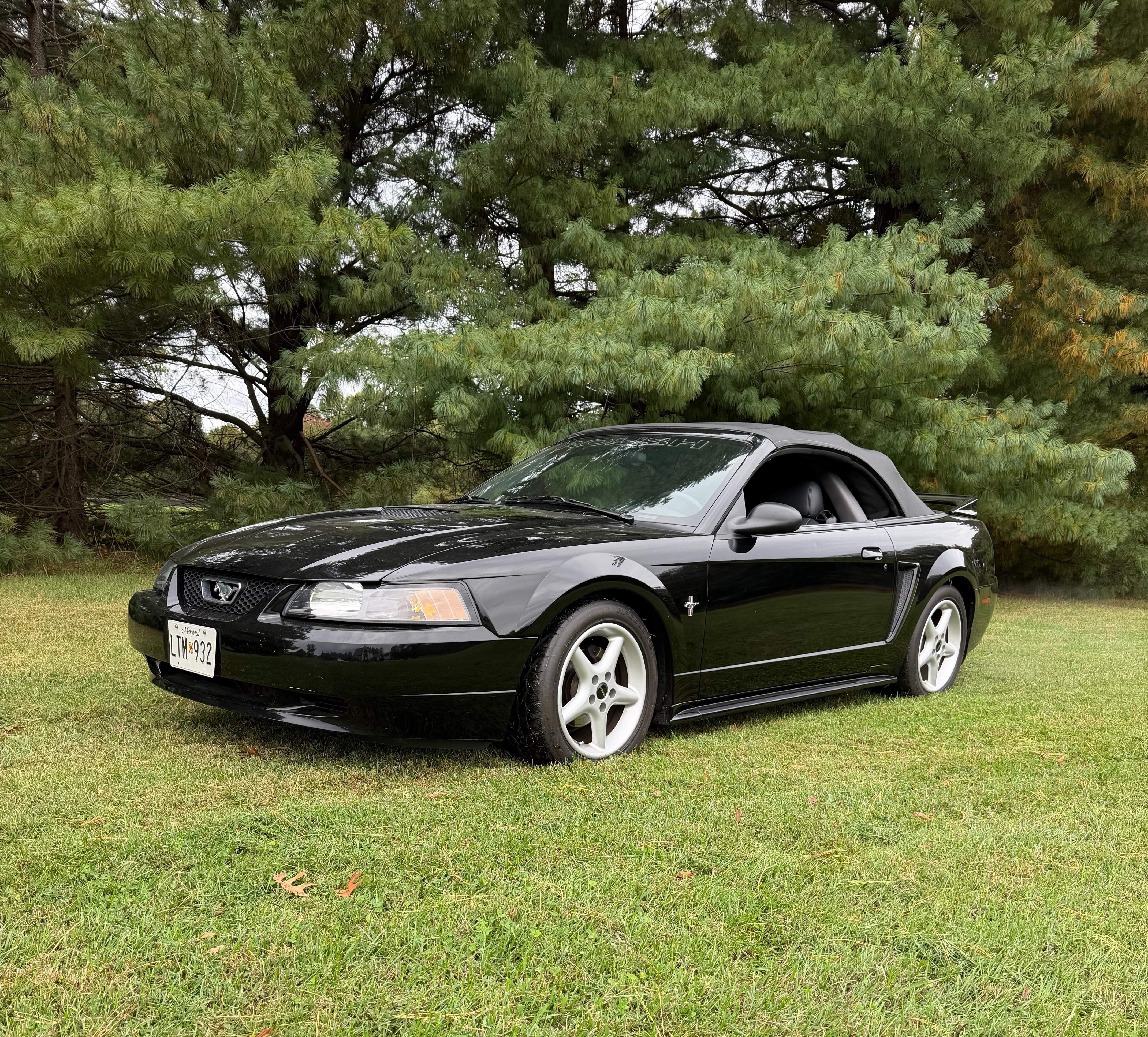 Used 2001 Ford Mustang Premium RWD image 1