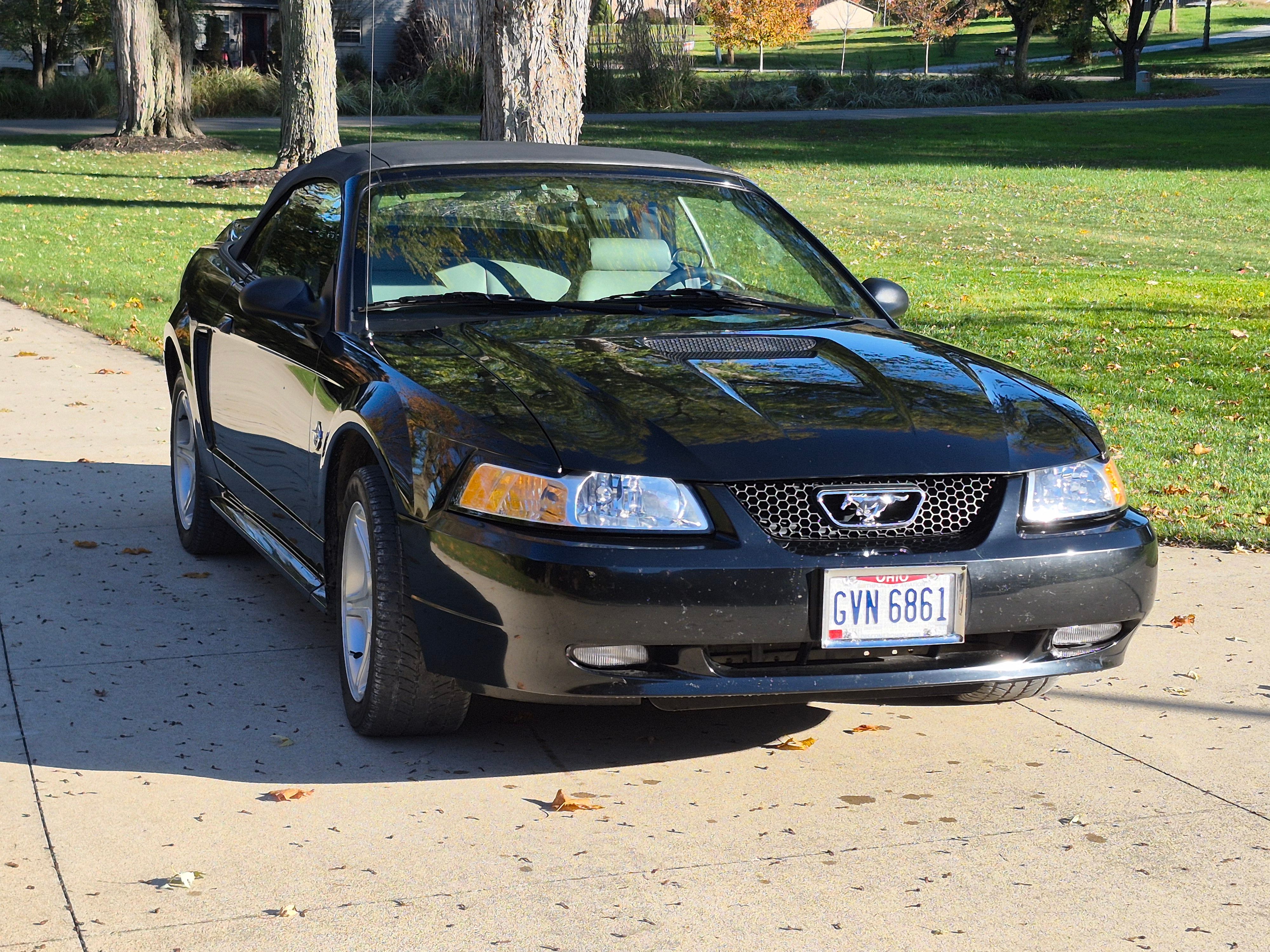 Used 1999 Ford Mustang GT RWD image 8