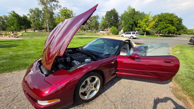 Used 2003 Chevrolet Corvette Convertible RWD image 2