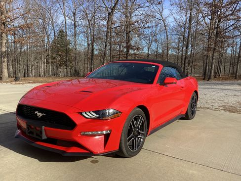 Used 2023 Ford Mustang Premium w/ Equipment Group 201A image 5