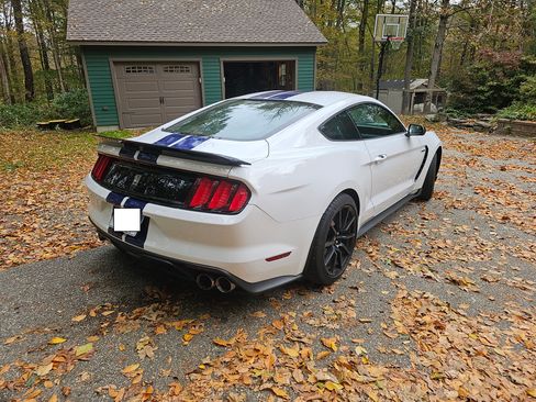 Used 2016 Ford Mustang Shelby GT350 w/ Track Package image 4