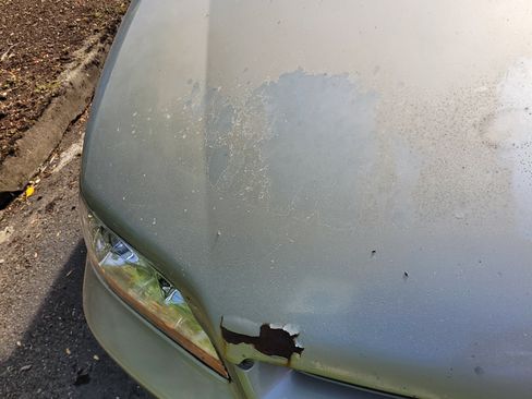 Used 1998 Honda Accord LX image 12