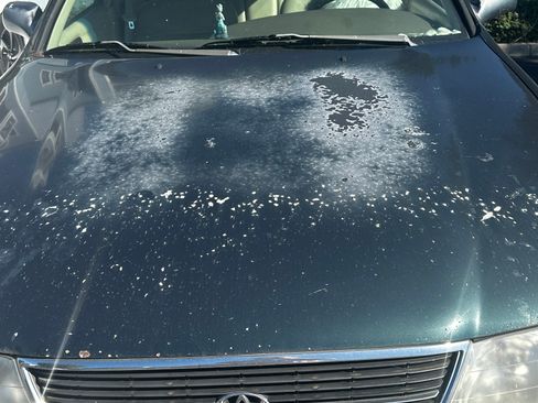 Used 1999 Toyota Avalon XLS image 16